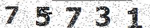 تصویر امنیتی