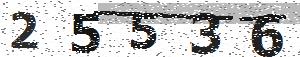 تصویر امنیتی