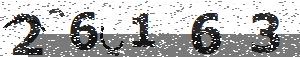 تصویر امنیتی
